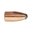 VARMINTER 22 Caliber Soft Point Bullets ovat täydelliset tuhoeläinten metsästykseen. Erittäin tarkat ja kevyet luodit tarjoavat räjähdysmäisen laajenemisen. Tutustu nyt! 🦊🔫