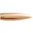NOSLER 22 CALIBER (0.224") 80GR HOLLOW POINT BOAT TAIL 1,000/BOX